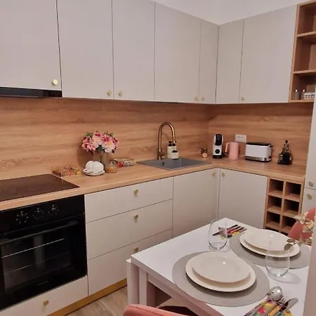 公寓 Ateneo Golden Nest 蒂米什瓦拉