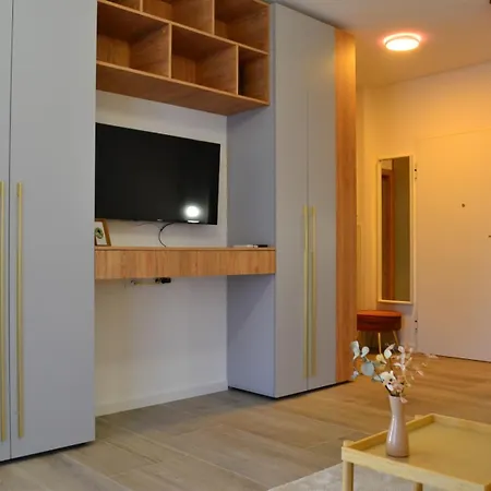 Ateneo Golden Nest Daire Temeşvar