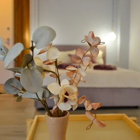 Ateneo Golden Nest * 蒂米什瓦拉