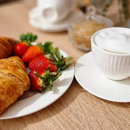 Ateneo Golden Nest 蒂米什瓦拉