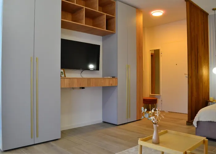 Ateneo Golden Nest Apartment Timisoara